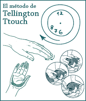 ttouch